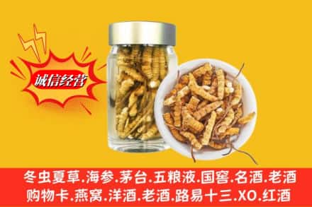 中山石岐区求购回收散虫草