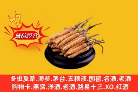 中山石岐区求购回收虫草多少钱每克